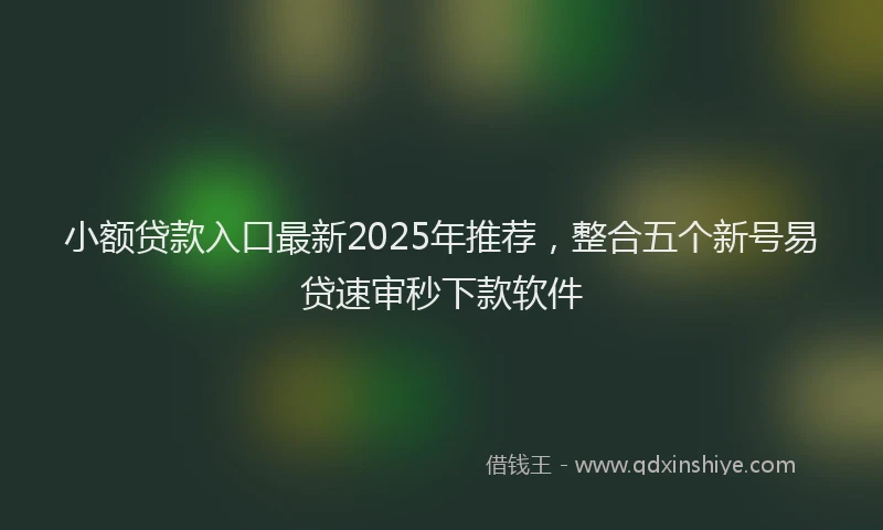 小额贷款入口最新2025年推荐，整合五个新号易贷速审秒下款软件