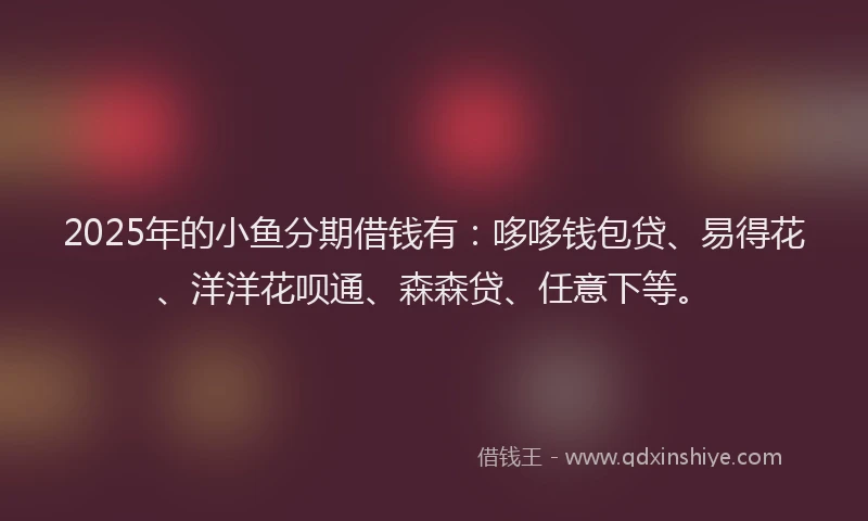 2025年的小鱼分期借钱有：哆哆钱包贷、易得花、洋洋花呗通、森森贷、任意下等。