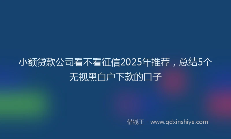 小额贷款公司看不看征信2025年推荐，总结5个无视黑白户下款的口子