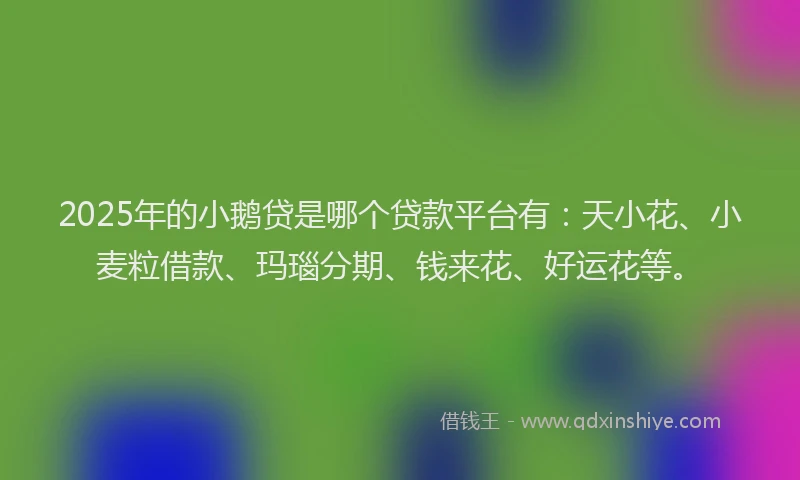 2025年的小鹅贷是哪个贷款平台有：天小花、小麦粒借款、玛瑙分期、钱来花、好运花等。