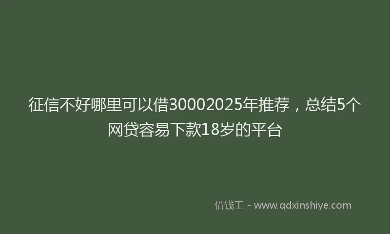 征信不好哪里可以借30002025年推荐，总结5个网贷容易下款18岁的平台