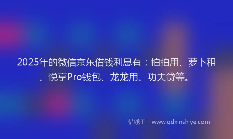2025年的微信京东借钱利息有：拍拍用、萝卜租、悦享Pro钱包、龙龙用、功夫贷等。
