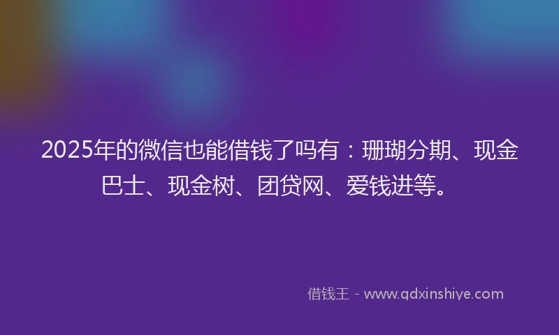 2025年的微信也能借钱了吗有：珊瑚分期、现金巴士、现金树、团贷网、爱钱进等。