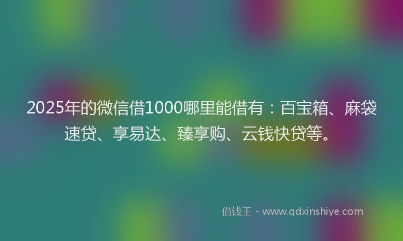 2025年的微信借1000哪里能借有：百宝箱、麻袋速贷、享易达、臻享购、云钱快贷等。