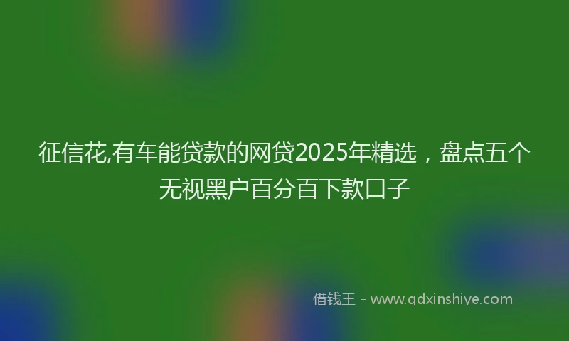 征信花,有车能贷款的网贷2025年精选，盘点五个无视黑户百分百下款口子