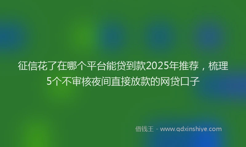 征信花了在哪个平台能贷到款2025年推荐，梳理5个不审核夜间直接放款的网贷口子