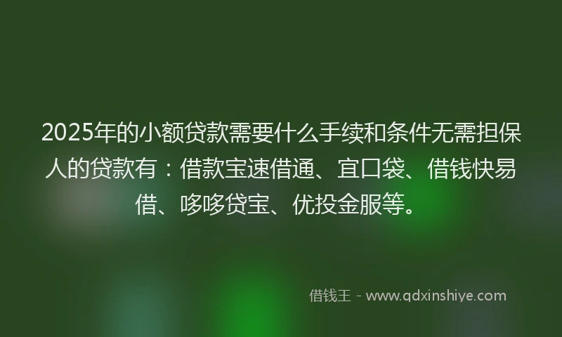 2025年的小额贷款需要什么手续和条件无需担保人的贷款有：借款宝速借通、宜口袋、借钱快易借、哆哆贷宝、优投金服等。