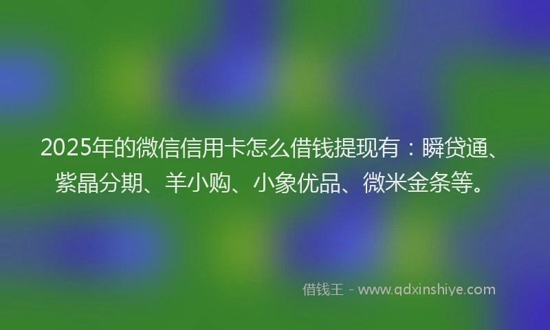 2025年的微信信用卡怎么借钱提现有：瞬贷通、紫晶分期、羊小购、小象优品、微米金条等。