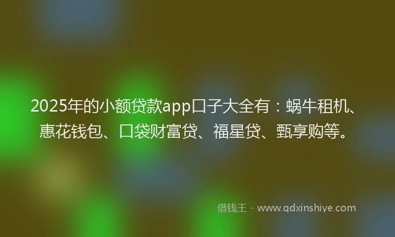 2025年的小额贷款app口子大全有：蜗牛租机、惠花钱包、口袋财富贷、福星贷、甄享购等。