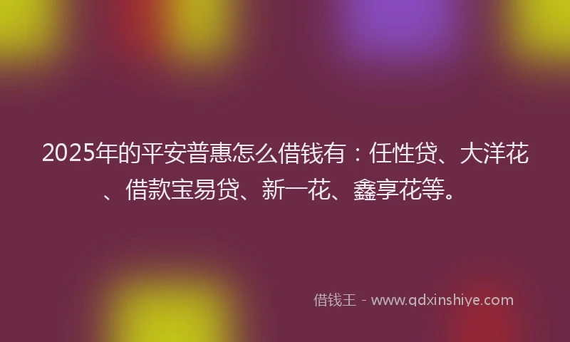 2025年的平安普惠怎么借钱有：任性贷、大洋花、借款宝易贷、新一花、鑫享花等。
