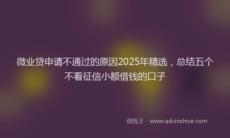 微业贷申请不通过的原因2025年精选，总结五个不看征信小额借钱的口子