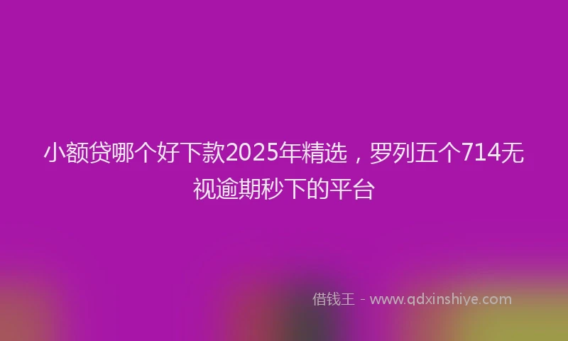小额贷哪个好下款2025年精选，罗列五个714无视逾期秒下的平台