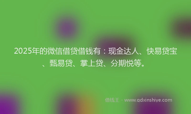 2025年的微信借贷借钱有：现金达人、快易贷宝、甄易贷、掌上贷、分期悦等。