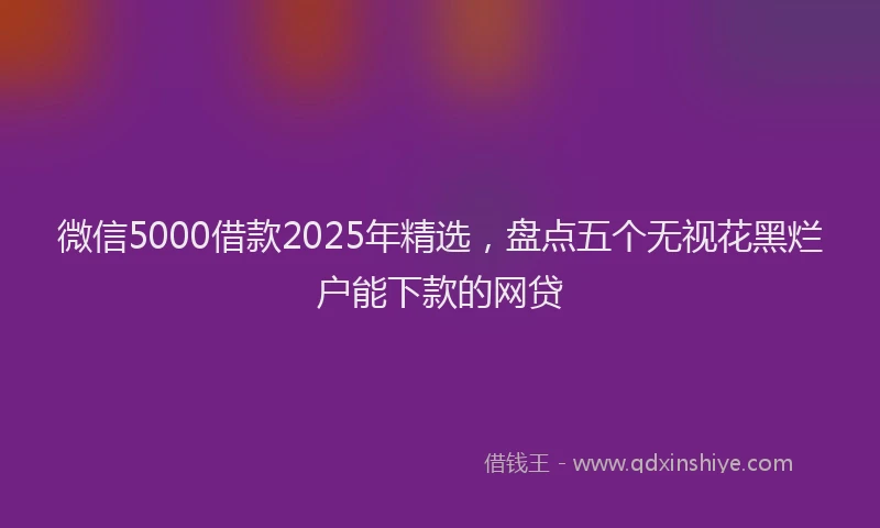 微信5000借款2025年精选，盘点五个无视花黑烂户能下款的网贷