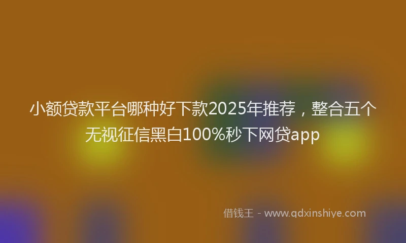 小额贷款平台哪种好下款2025年推荐，整合五个无视征信黑白100%秒下网贷app