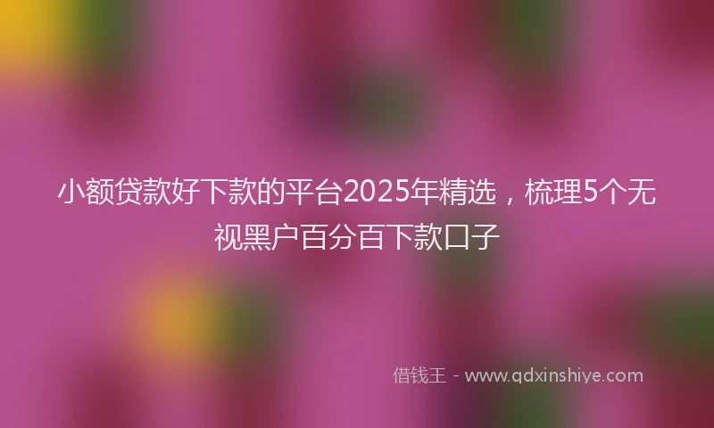 小额贷款好下款的平台2025年精选，梳理5个无视黑户百分百下款口子