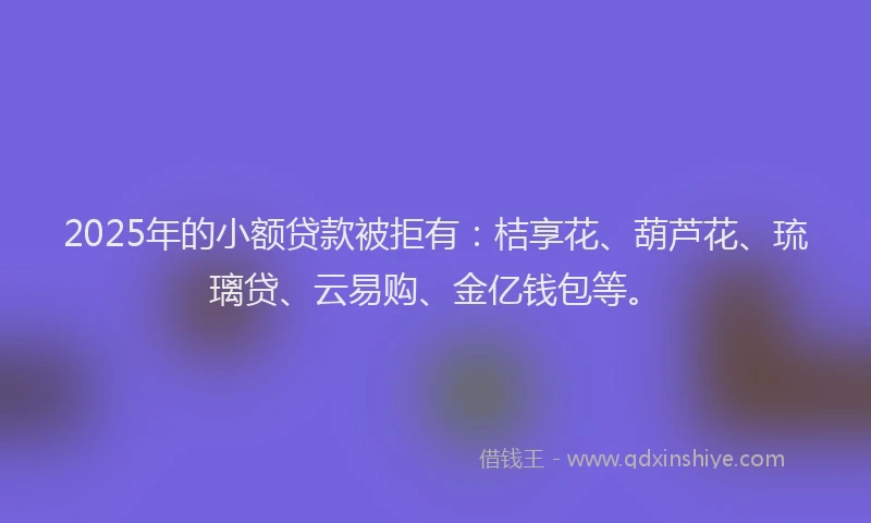 2025年的小额贷款被拒有：桔享花、葫芦花、琉璃贷、云易购、金亿钱包等。