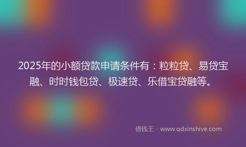 2025年的小额贷款申请条件有：粒粒贷、易贷宝融、时时钱包贷、极速贷、乐借宝贷融等。