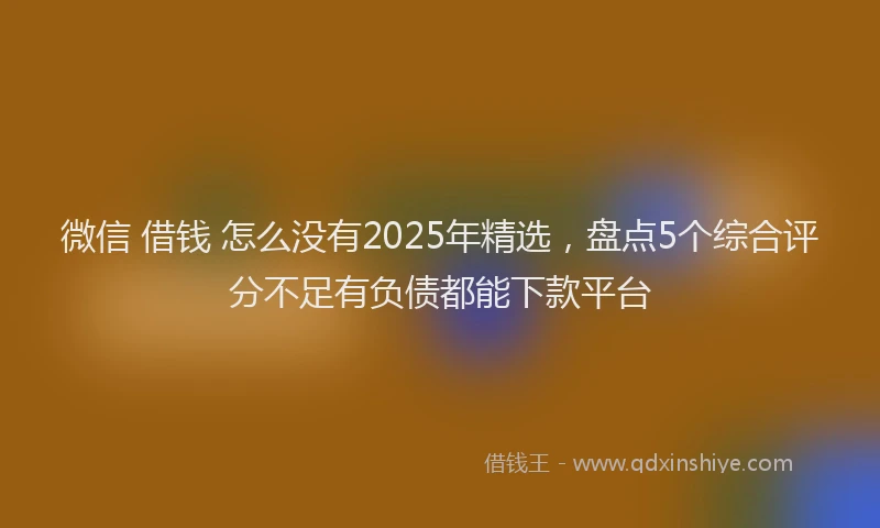 微信 借钱 怎么没有2025年精选，盘点5个综合评分不足有负债都能下款平台