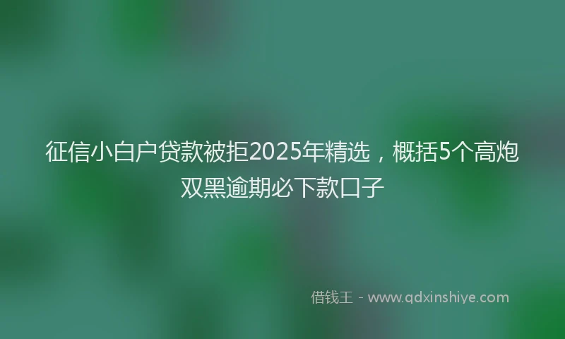 征信小白户贷款被拒2025年精选，概括5个高炮双黑逾期必下款口子