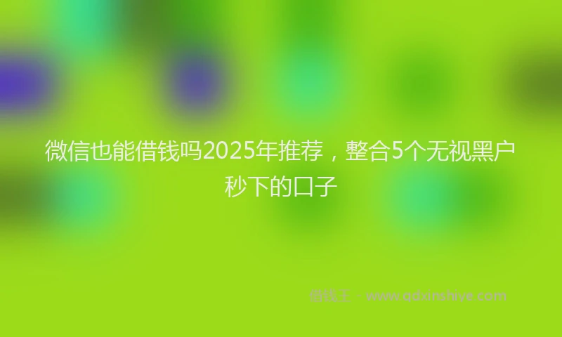 微信也能借钱吗2025年推荐，整合5个无视黑户秒下的口子
