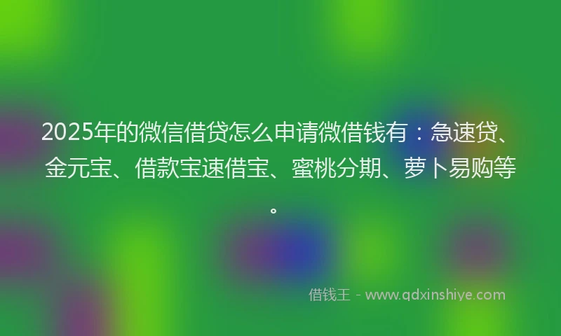 2025年的微信借贷怎么申请微借钱有：急速贷、金元宝、借款宝速借宝、蜜桃分期、萝卜易购等。