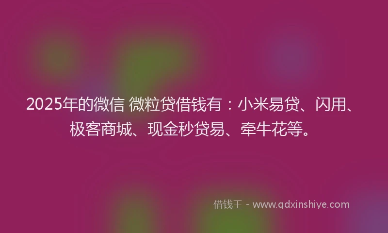 2025年的微信 微粒贷借钱有：小米易贷、闪用、极客商城、现金秒贷易、牵牛花等。