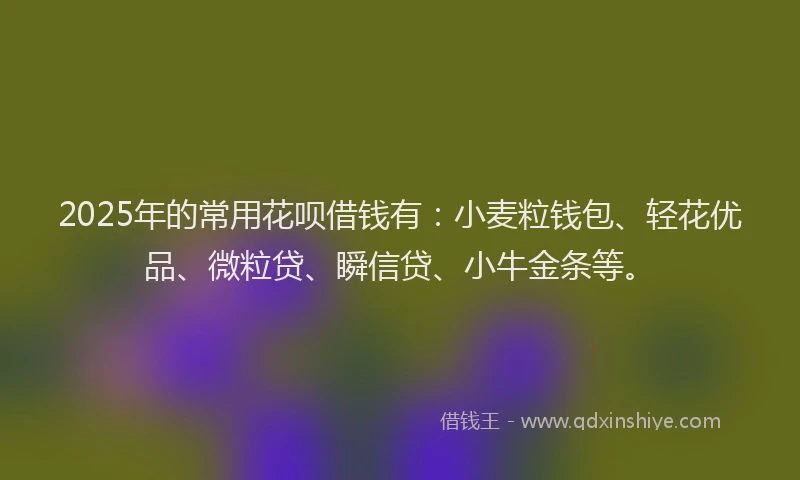 2025年的常用花呗借钱有：小麦粒钱包、轻花优品、微粒贷、瞬信贷、小牛金条等。
