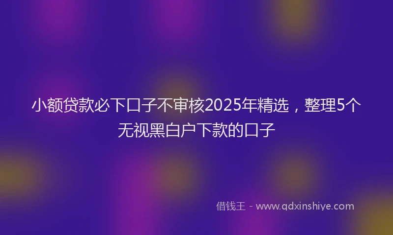 小额贷款必下口子不审核2025年精选，整理5个无视黑白户下款的口子