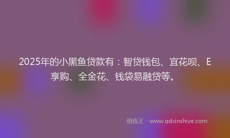 2025年的小黑鱼贷款有：智贷钱包、宜花呗、E享购、全金花、钱袋易融贷等。
