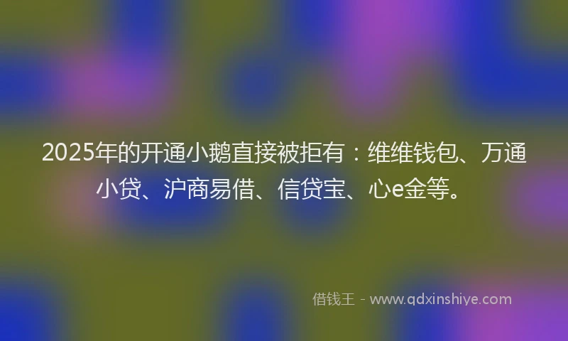 2025年的开通小鹅直接被拒有：维维钱包、万通小贷、沪商易借、信贷宝、心e金等。