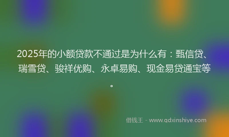 2025年的小额贷款不通过是为什么有：甄信贷、瑞雪贷、骏祥优购、永卓易购、现金易贷通宝等。