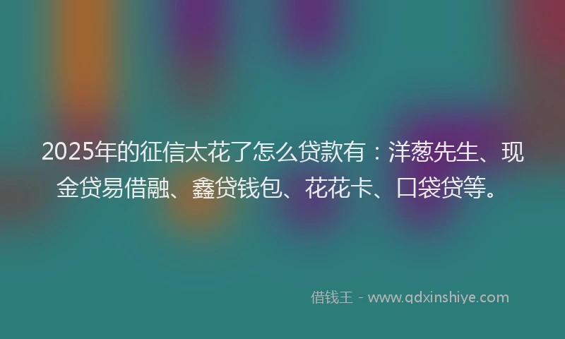 2025年的征信太花了怎么贷款有：洋葱先生、现金贷易借融、鑫贷钱包、花花卡、口袋贷等。