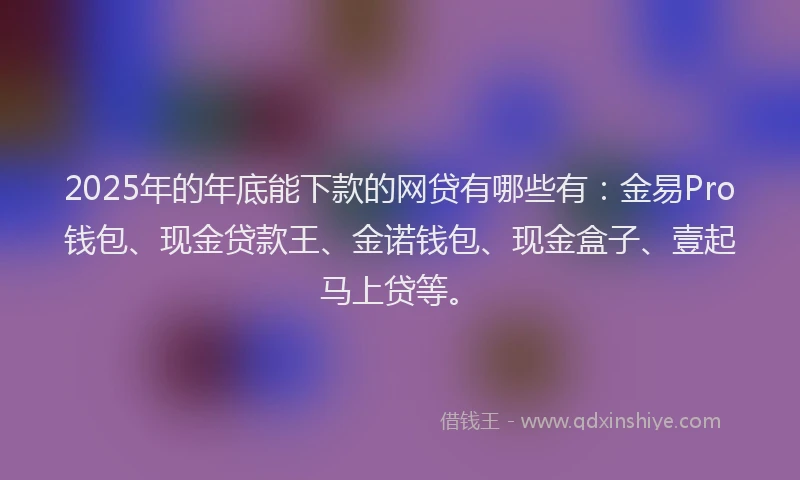 2025年的年底能下款的网贷有哪些有：金易Pro钱包、现金贷款王、金诺钱包、现金盒子、壹起马上贷等。