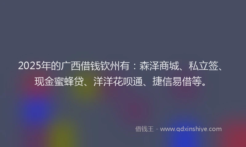 2025年的广西借钱钦州有：森泽商城、私立签、现金蜜蜂贷、洋洋花呗通、捷信易借等。