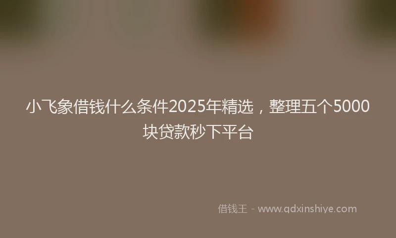 小飞象借钱什么条件2025年精选，整理五个5000块贷款秒下平台