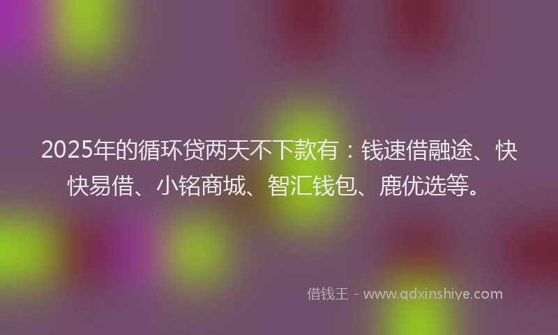 2025年的循环贷两天不下款有：钱速借融途、快快易借、小铭商城、智汇钱包、鹿优选等。