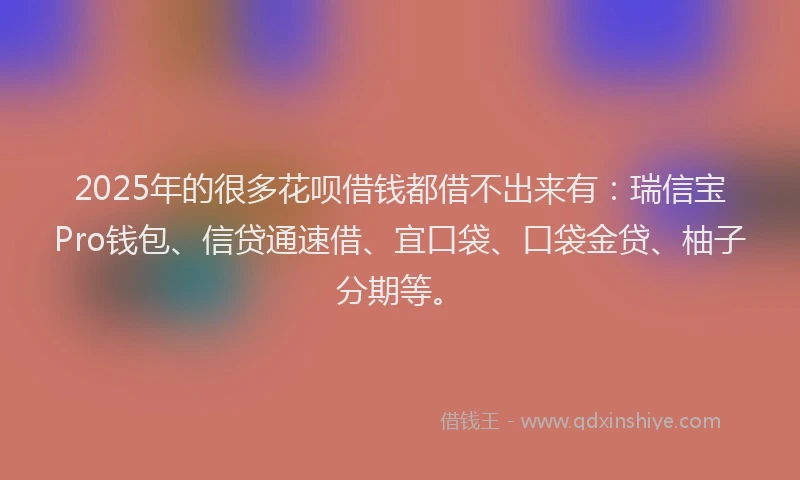 2025年的很多花呗借钱都借不出来有：瑞信宝Pro钱包、信贷通速借、宜口袋、口袋金贷、柚子分期等。
