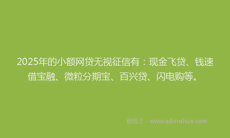 2025年的小额网贷无视征信有：现金飞贷、钱速借宝融、微粒分期宝、百兴贷、闪电购等。