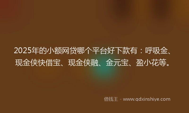 2025年的小额网贷哪个平台好下款有：呼吸金、现金侠快借宝、现金侠融、金元宝、盈小花等。