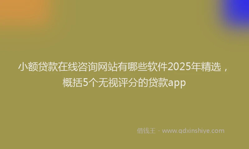 小额贷款在线咨询网站有哪些软件2025年精选，概括5个无视评分的贷款app