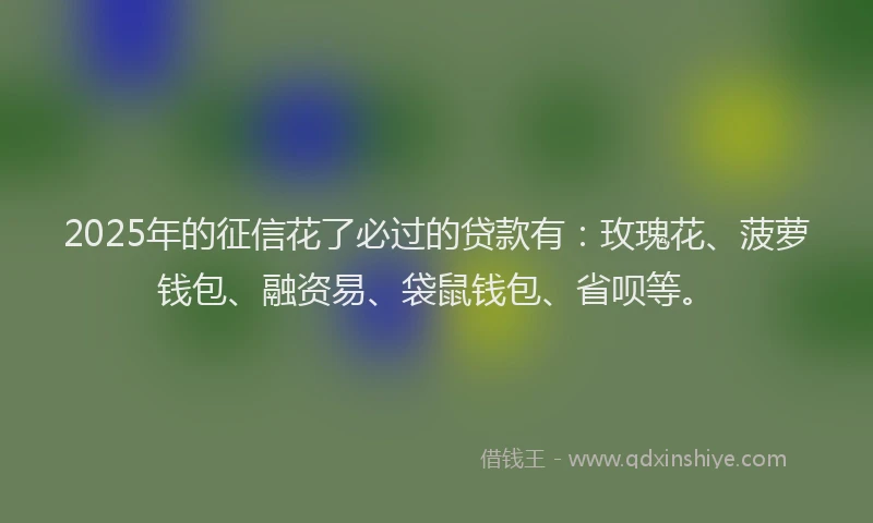 2025年的征信花了必过的贷款有：玫瑰花、菠萝钱包、融资易、袋鼠钱包、省呗等。