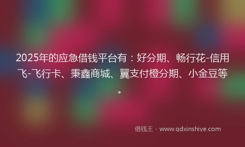 2025年的应急借钱平台有：好分期、畅行花-信用飞-飞行卡、秉鑫商城、翼支付橙分期、小金豆等。