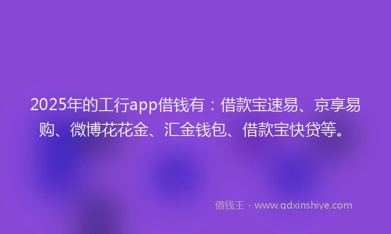 2025年的工行app借钱有：借款宝速易、京享易购、微博花花金、汇金钱包、借款宝快贷等。