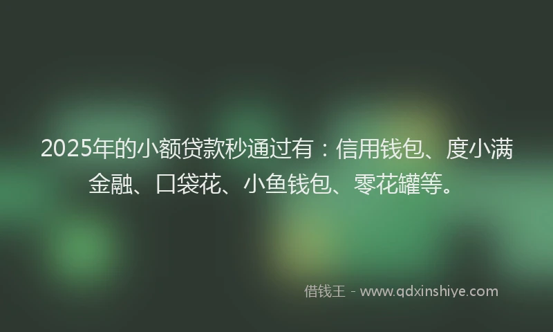 2025年的小额贷款秒通过有：信用钱包、度小满金融、口袋花、小鱼钱包、零花罐等。