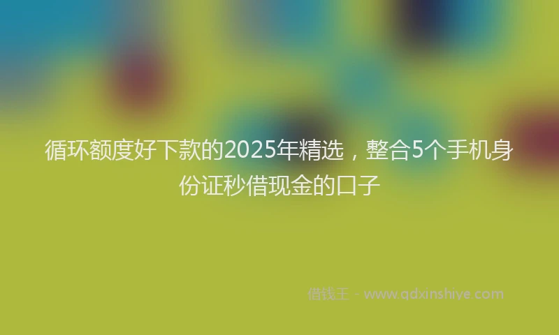 循环额度好下款的2025年精选，整合5个手机身份证秒借现金的口子