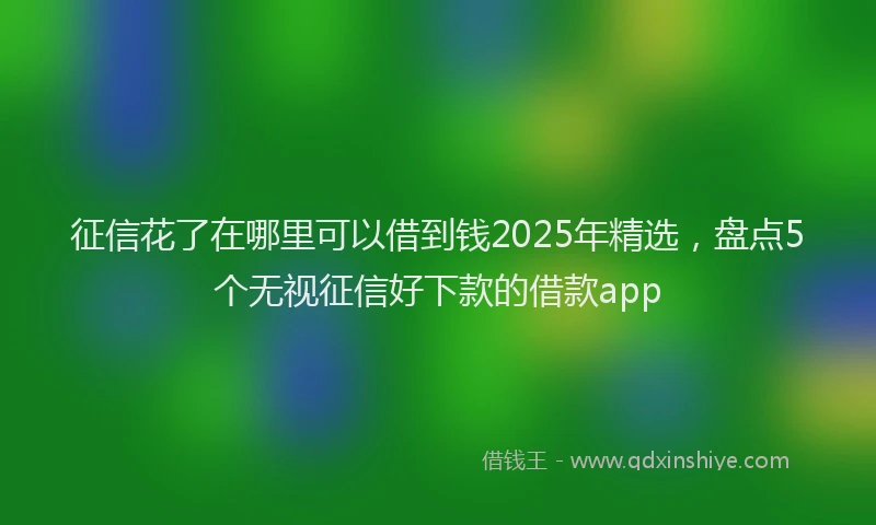 征信花了在哪里可以借到钱2025年精选，盘点5个无视征信好下款的借款app