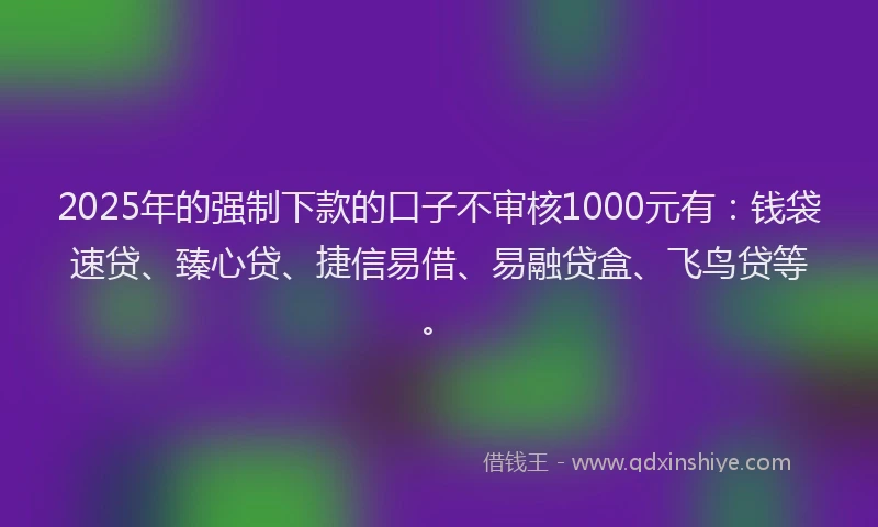 2025年的强制下款的口子不审核1000元有：钱袋速贷、臻心贷、捷信易借、易融贷盒、飞鸟贷等。
