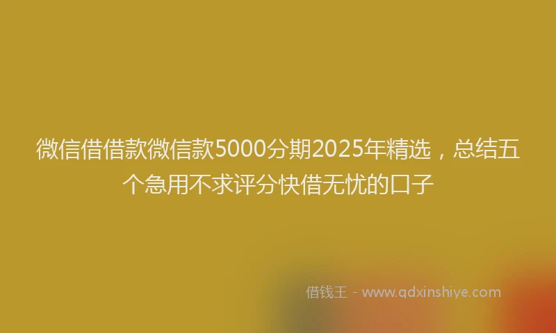 微信借借款微信款5000分期2025年精选，总结五个急用不求评分快借无忧的口子