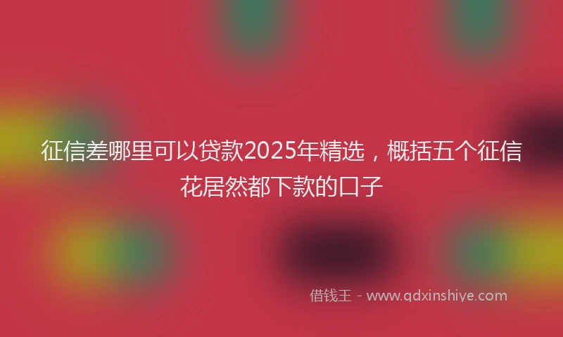 征信差哪里可以贷款2025年精选，概括五个征信花居然都下款的口子